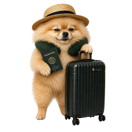 Mascote We.Voos com mala e passaporte, pronto para viajar